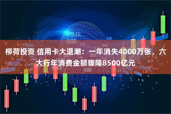 柳荷投资 信用卡大退潮：一年消失4000万张，六大行年消费金额骤降8500亿元
